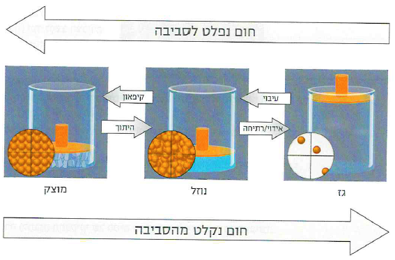 (בספר תרשים:) ג'וזף בלק (ציור)